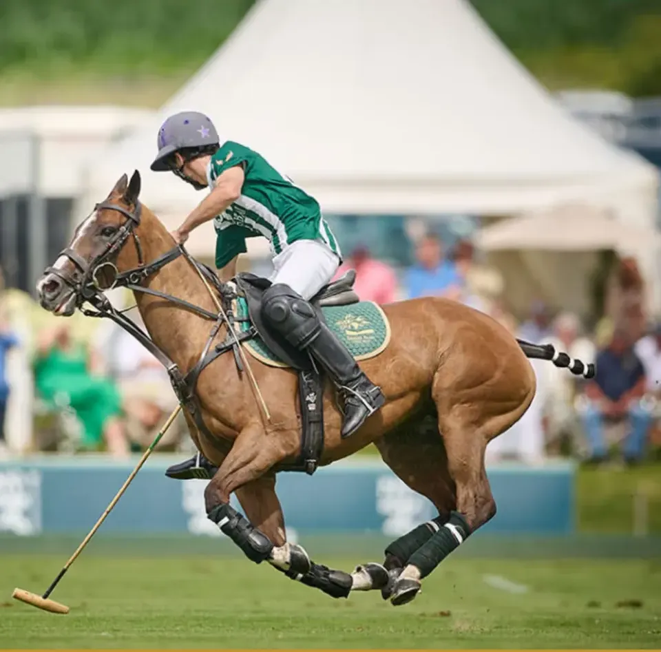 Cowdray polo